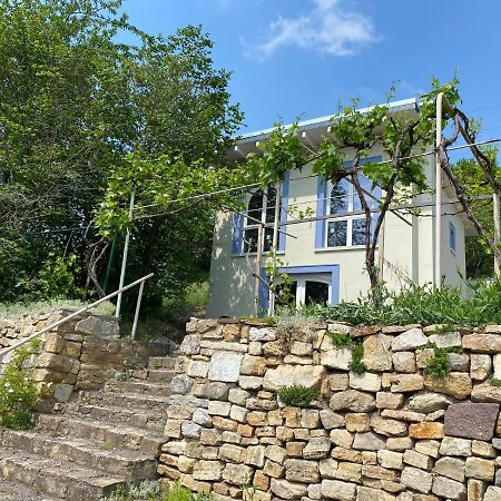 Weinbergshaus Mit Blick Auf'S Wasser Salzatal Esterno foto
