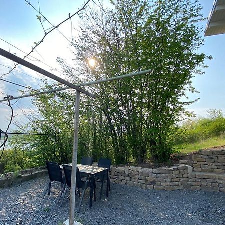 Weinbergshaus Mit Blick Auf'S Wasser Salzatal Esterno foto