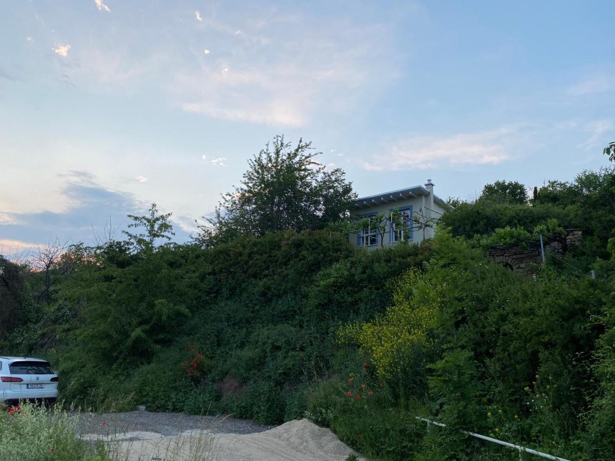 Weinbergshaus Mit Blick Auf'S Wasser Salzatal Esterno foto
